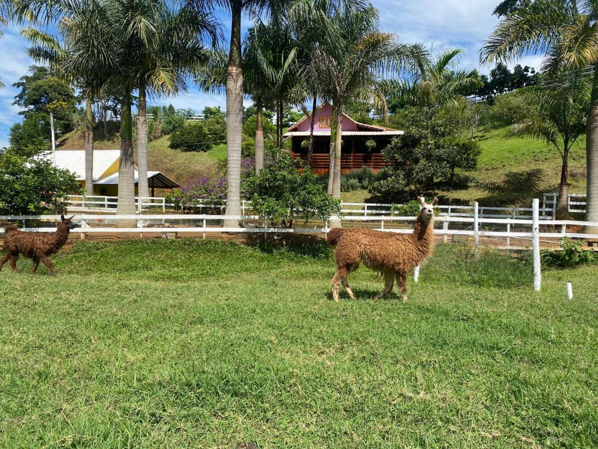 Pousada Rancho Na Serra Espera Feliz Ngoại thất bức ảnh