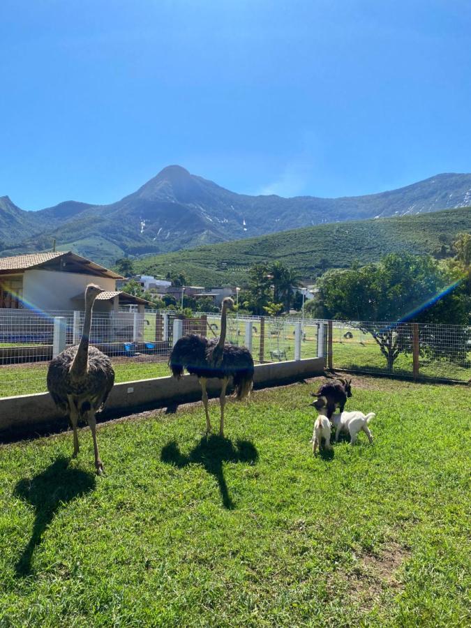 Pousada Rancho Na Serra Espera Feliz Ngoại thất bức ảnh